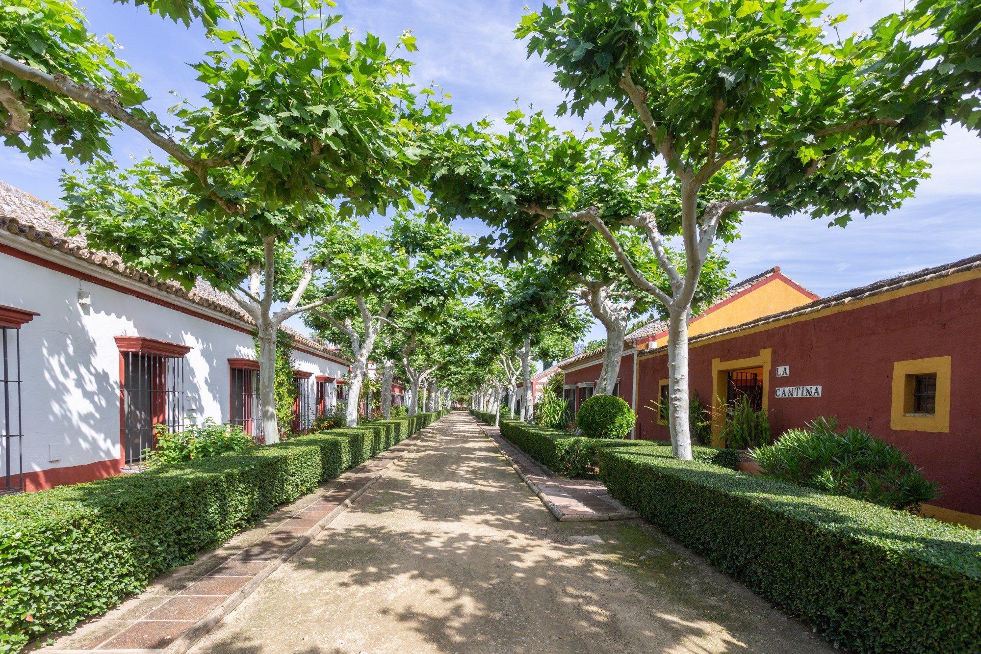 El Cortijo De Los Mimbrales Hotel Альмонте Екстер'єр фото