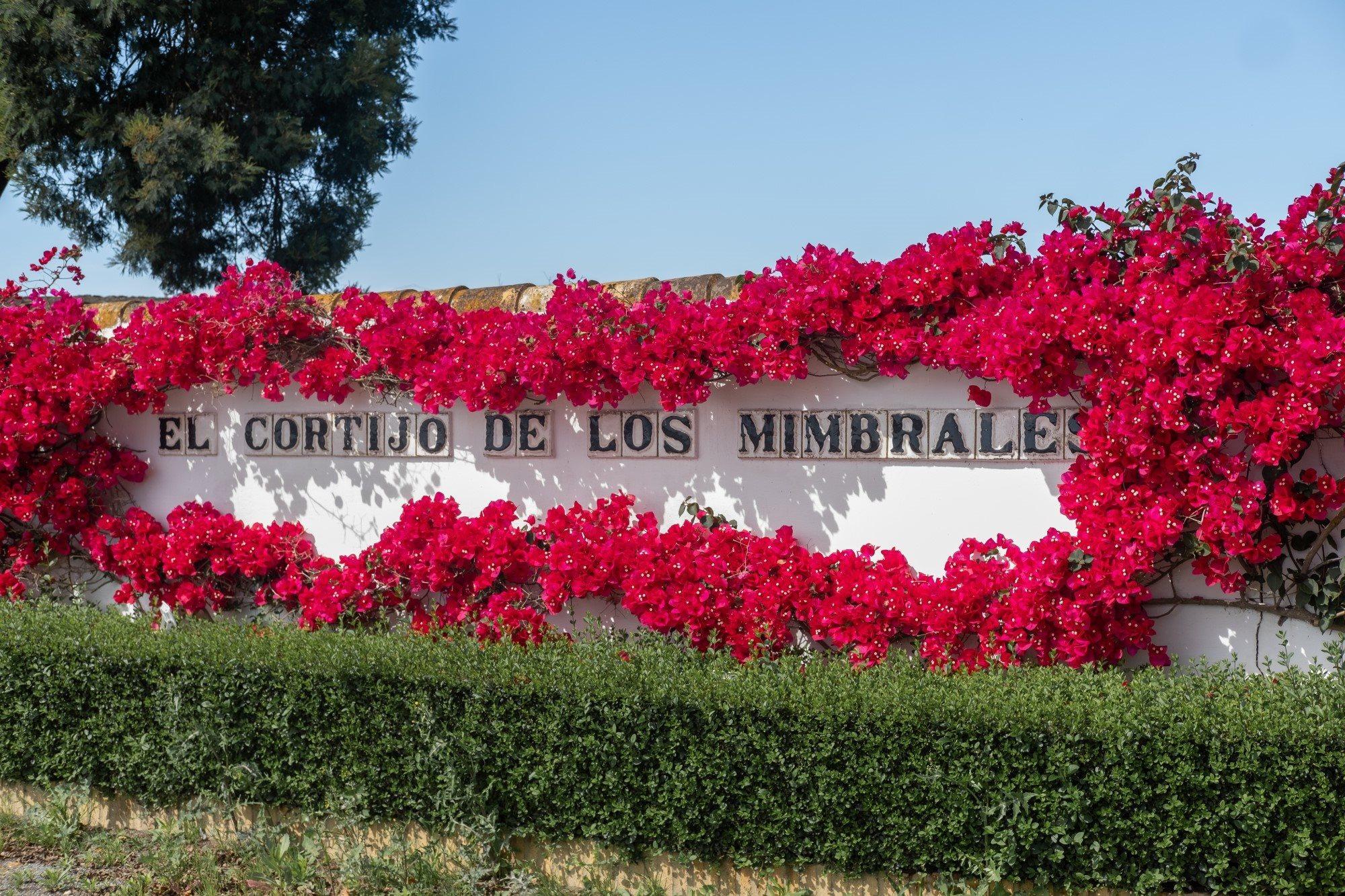 El Cortijo De Los Mimbrales Hotel Альмонте Екстер'єр фото