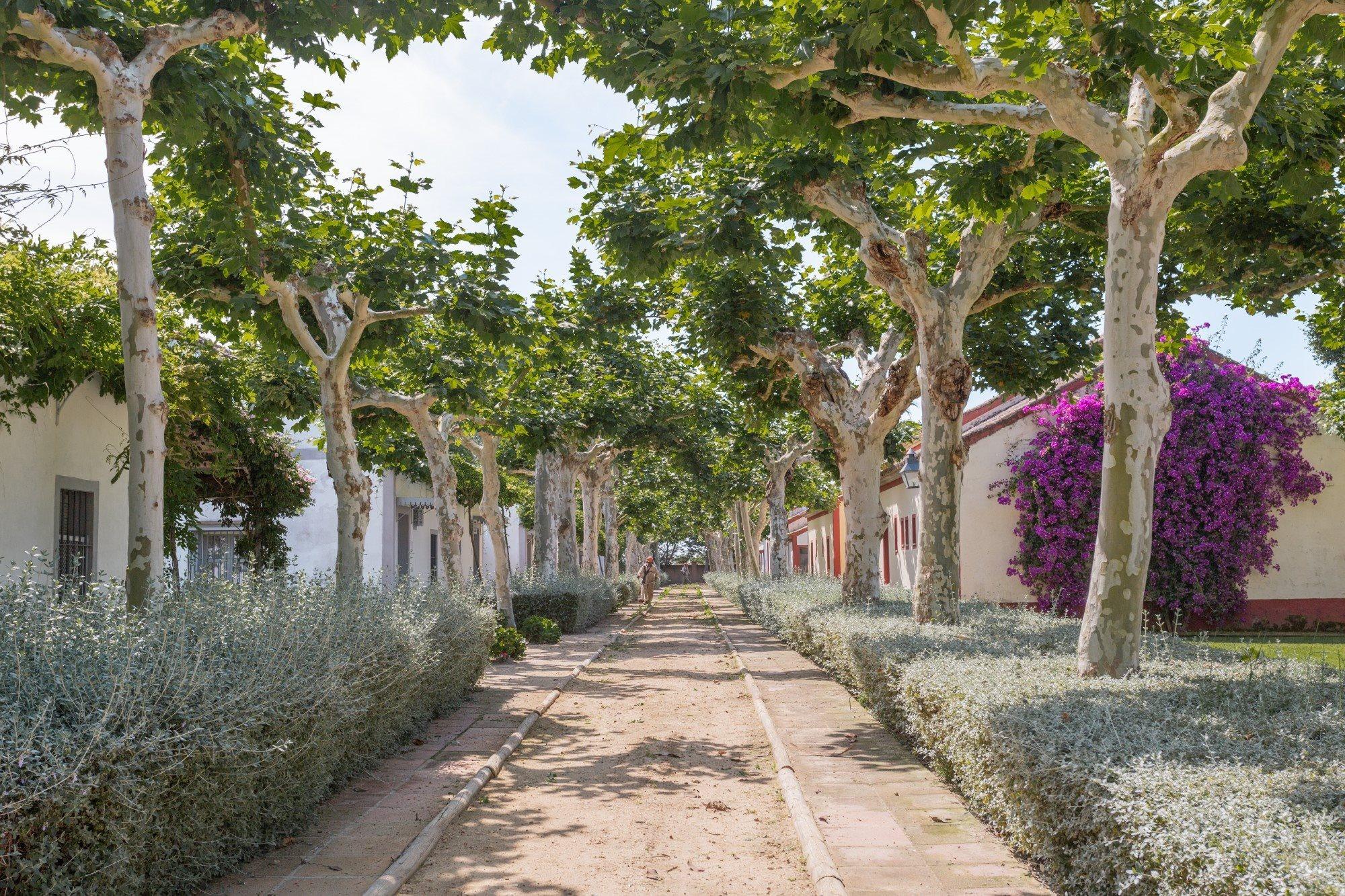 El Cortijo De Los Mimbrales Hotel Альмонте Екстер'єр фото